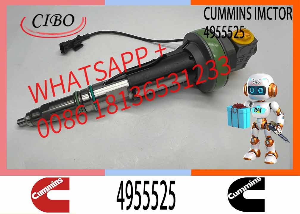 Diesel QSK19 Engine Common Rail Fuel Injector 4955524 4955525 2867149 2882079 4964173