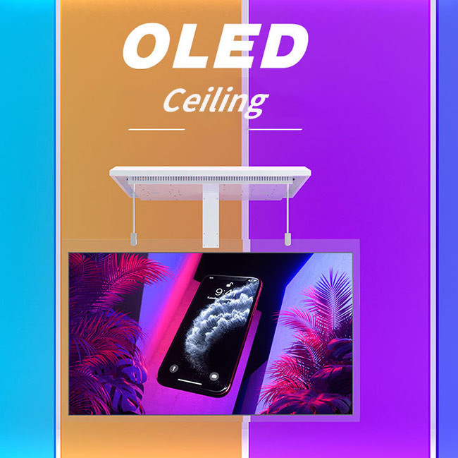 32/55 Inch 1080p Android OLED Digital Signage