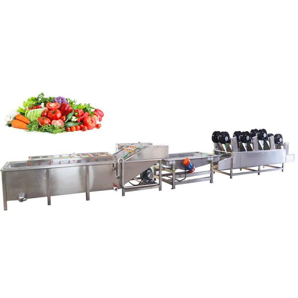 Commercial Industrial Bubble Fruit Avocado Mango Vegetable Potato Washing