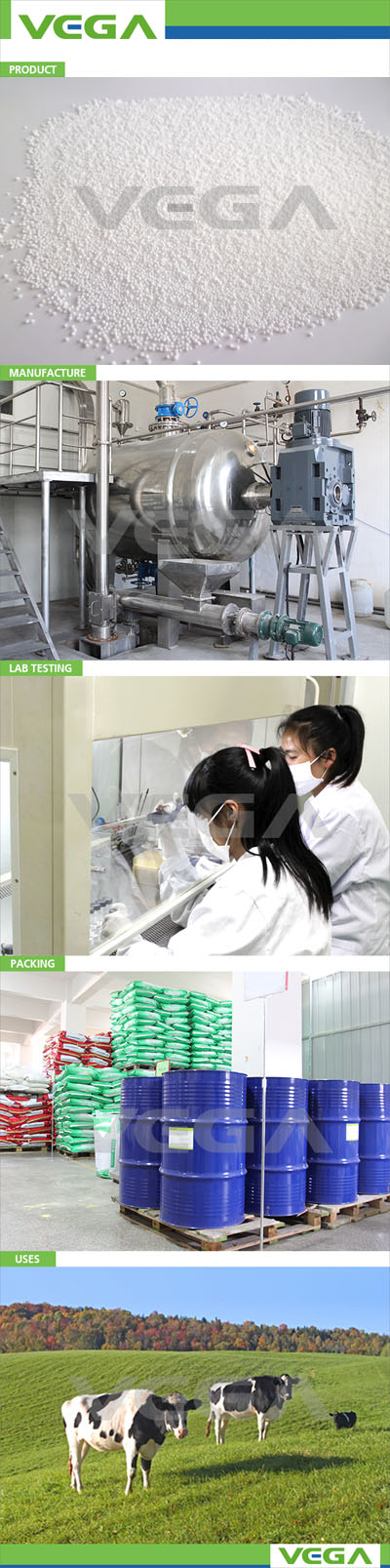 Micro-capsule Enrofloxacin 10% China Product