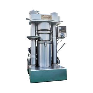 China Cold Press Machine Automatic Palm Oil Processing Machine Extraction Machine For Herb on sale