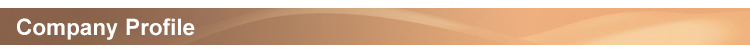 Gaoxin Stretch Non Woven Fusing Interlining for Garment Fusing Interfacing 150cm Width