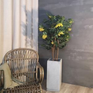 Buy cheap Indoor Potted Plant Artificial Cassia Flowering Tree For Ornament product