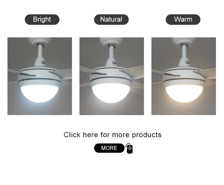 48 Inch Iron Blades Ceiling Fan with LED Lights Remote Control Improve Air Circulation