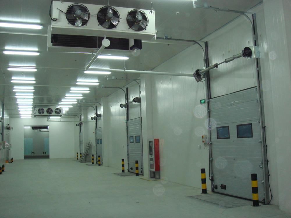 Durable Blast Modular Cold Room For Preserving Fish Beef Meat Chicken