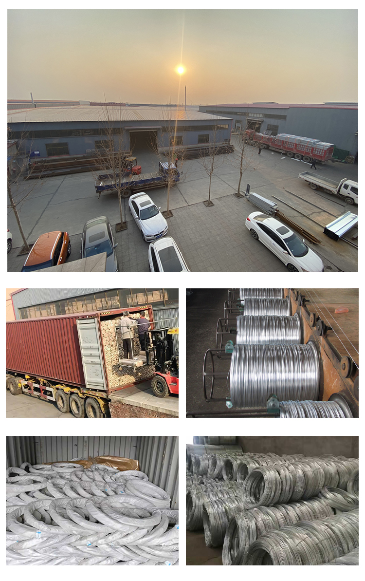 Newest Design Top Quality Galvanised Iron Wire Galvanised Wire 2.5mm