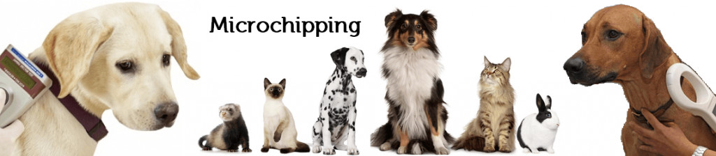 Dog / Cat RFID Glass Tube Transponder 2.12*12mm Size ICAR Certification