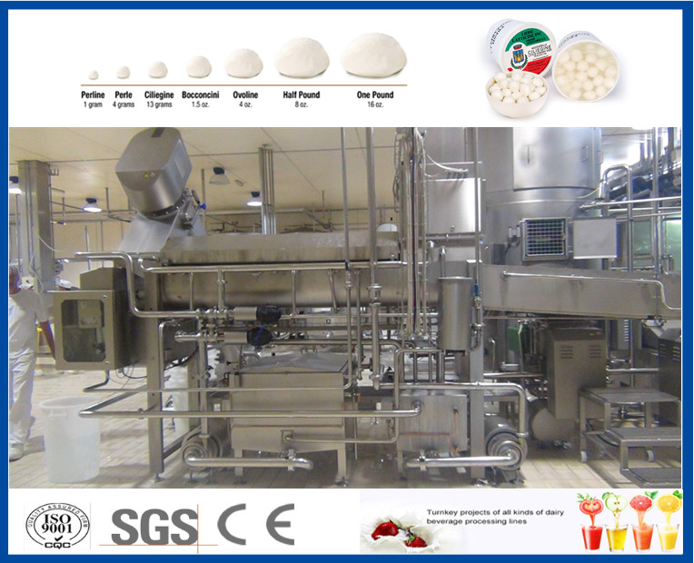 30TPD Cheese Factory Equipment For Cheese Manufacturing Plant 200 Kg/H - 2000 Kg/H Capacity