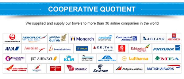 Embossed Decent Airline Jacquard Towel