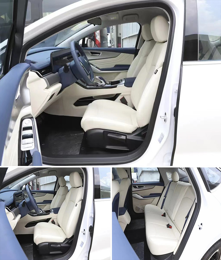 Effortless Performance EVEASY 100% Electric Car for European and American Markets