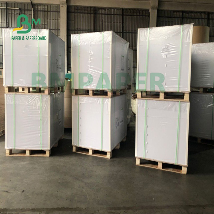 Good Folding Resistance Double Sides Coated Paper For Noodels Bowl