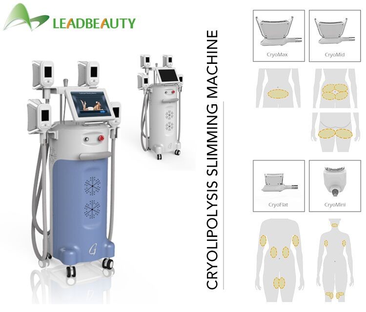 Newest 360 degree 4 handles face body lipo sculpting solution cryolipolysis slimming machine