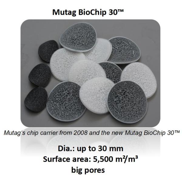 Mutag Biochip MBBR Biochip Media The Ideal Solution For Nitrogen Elimination At Home