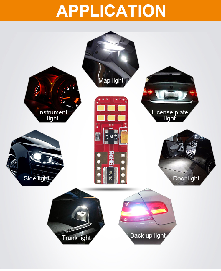 T10-12SMD-2016 Canbus (9).jpg