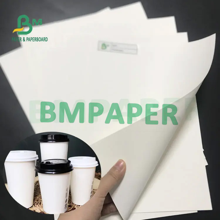 Food Grade 210 / 230g + 15g Poly Coated White Cupstock Board Rolls For Cup Paper, Bowl Paper