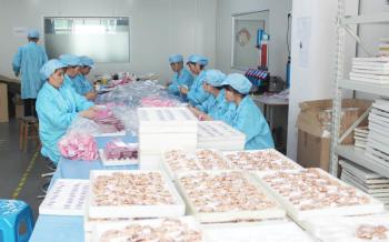 Shenzhen Laipute Watch Co. Ltd