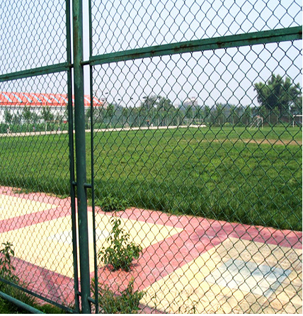 Farm and Field Galvanized Steel Wire Fencing Products Farm Chain Link Fence