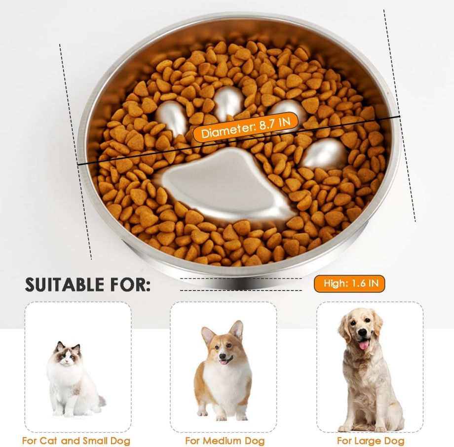 NO Time Setting Pet Feeding Bowl with Rounded and Non-Slip Stainless Steel Material