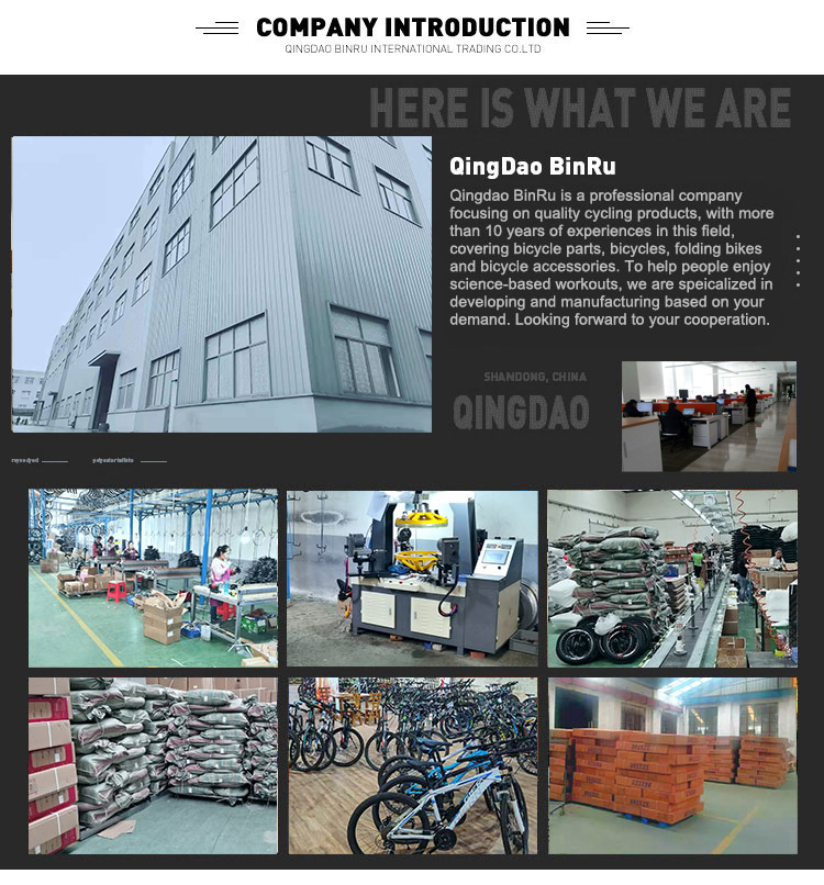 Custom Steel Frame Street Urban City Bike 26 For Women And Men In European Market