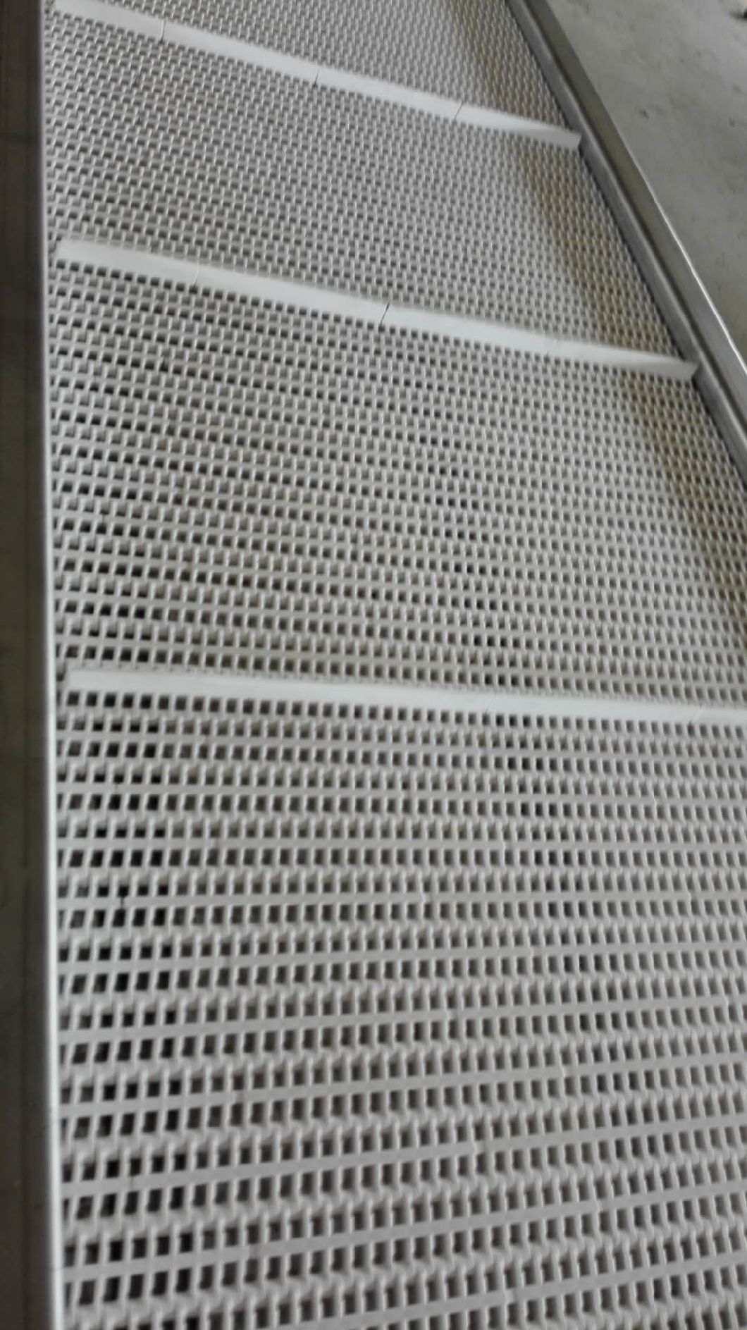 900 Plastic Conveyor Belts with 27.2mm Pitch for Cartons Processing Industry