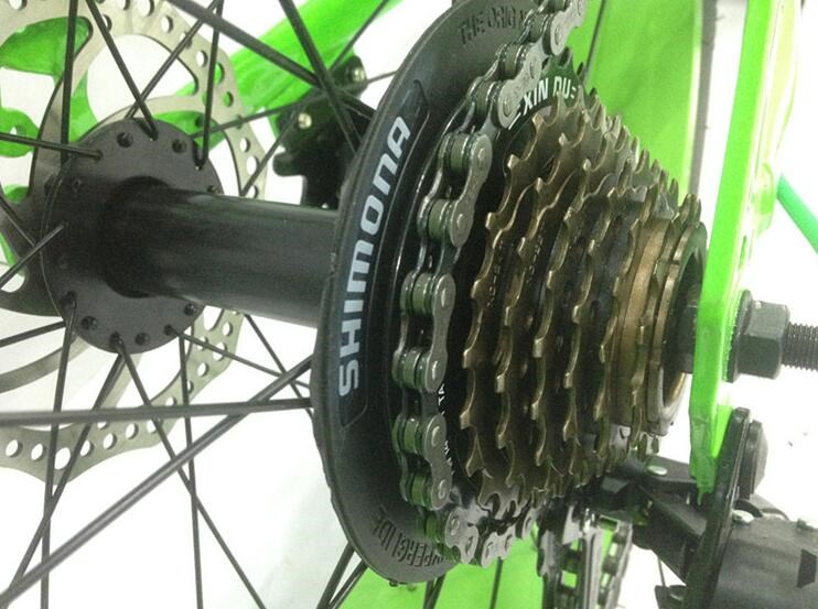 Private Label Snow Sand 4.0 Fat Tyre Electric Bicycle