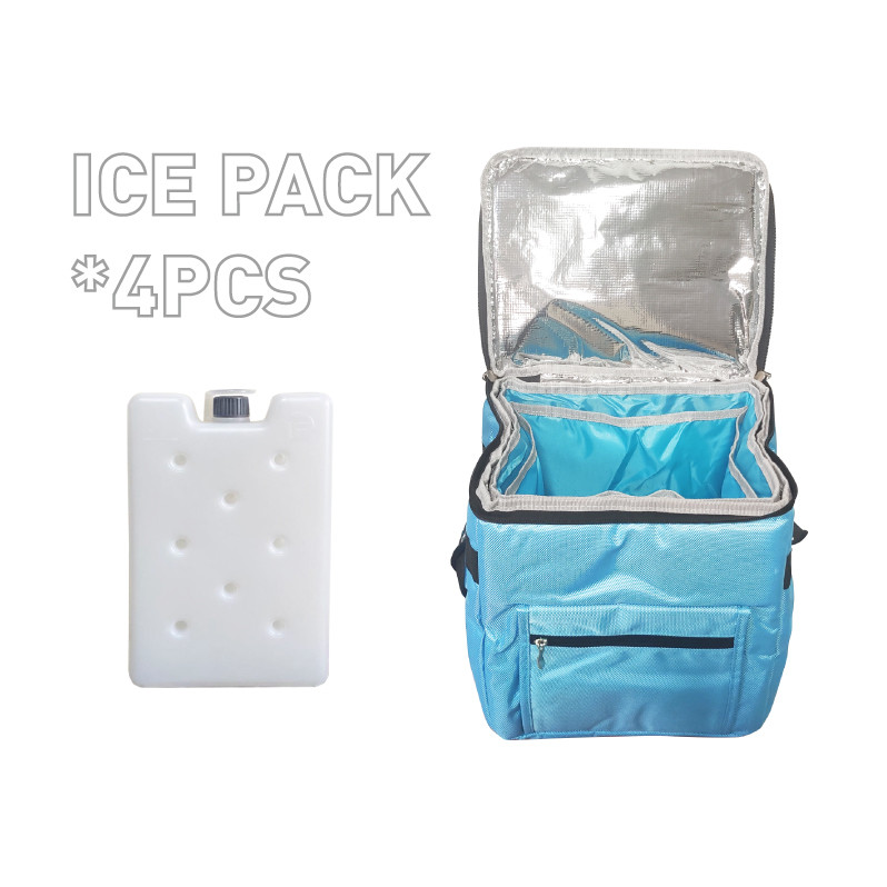 15L 33L Small Soft Cooler Medicine Cooler Bag With Shoulder Strap