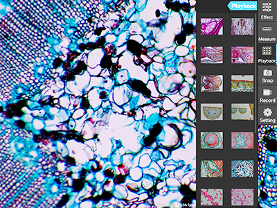LCD Forensic Comparison Microscope A18.1825-LCD