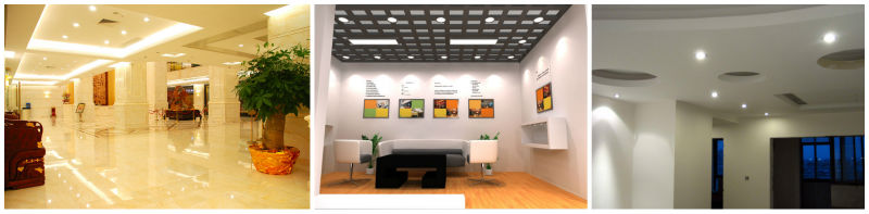 8 inch recessed led down light dealer