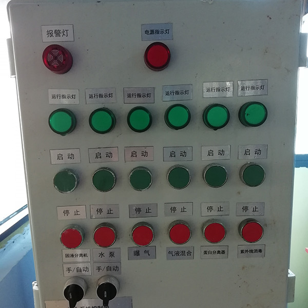 Smart Fish Farming Ras System AI Monitoring For Catfish Trout Breeding Industrial Ras System