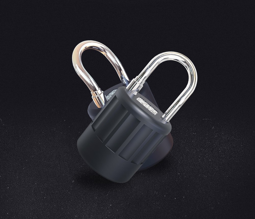 IP65 Combination Outdoor Smart Padlock
