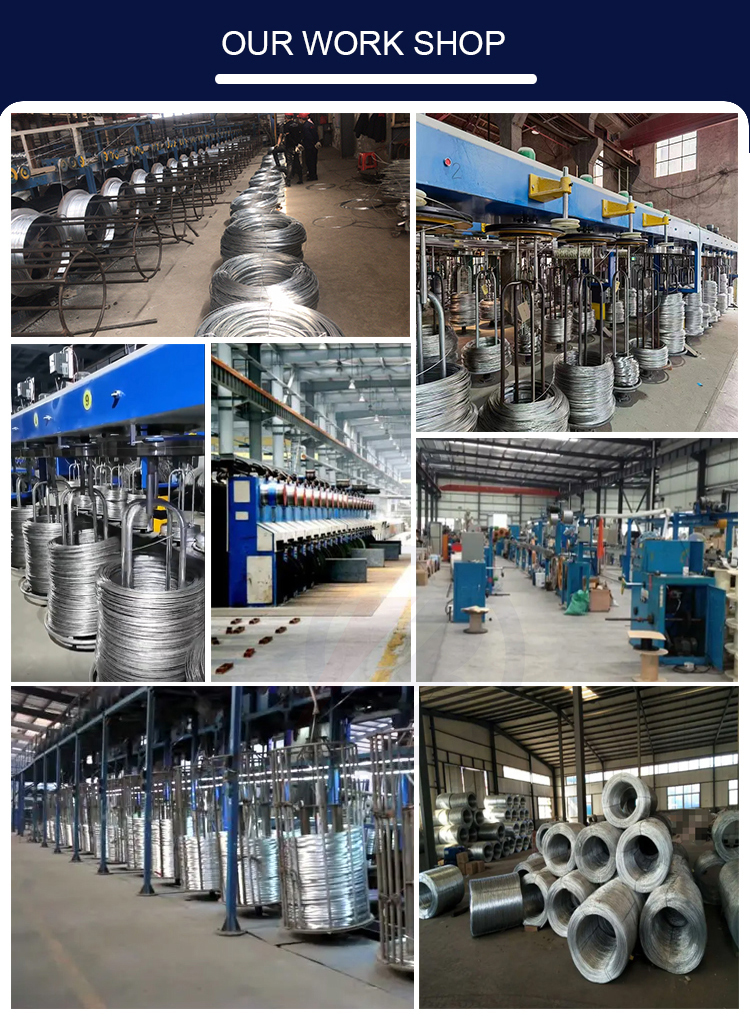 Technique Hot Rolled Based Galvanized Electric Fence Wire 1.6mm Q195 Q235 Galvanized Steel Wire for Fencing