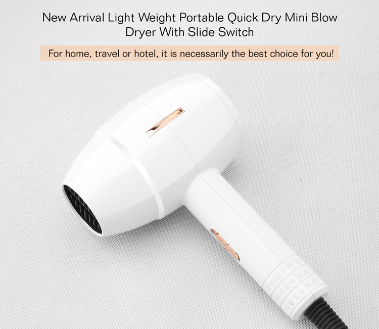 Axial Flow Dual Voltage Electric Hair Dryer For Travel Home Use