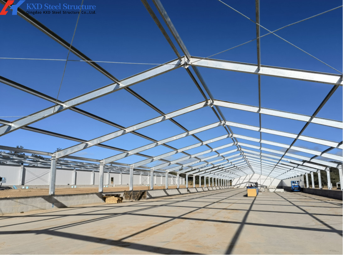 Automatic Broiler Poultry Farming Equipment Galvanized H Type Battery Chicken Cages