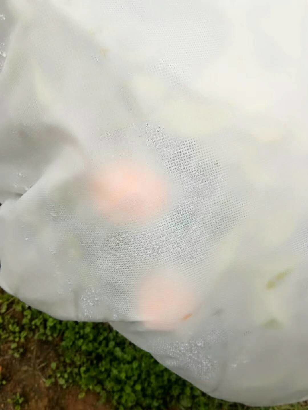 100% PP Nonwoven White Extra Width Non Woven Landscape Fabric Biodegradable For Farm