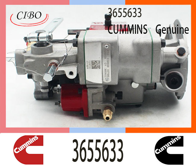 3655633 Hight quality Diesel Pump for Cum-minsKTA19-M3 Engine PT Fuel Injector 3655633 3655633