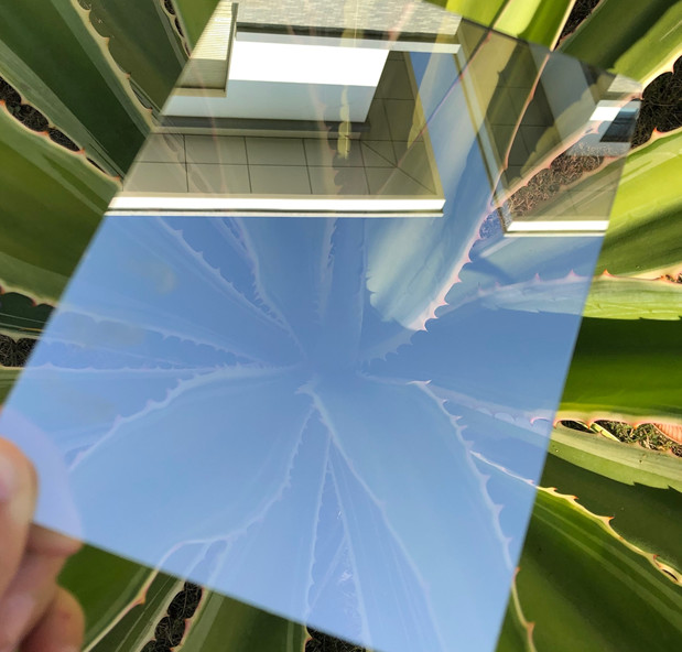 3mm/4mm/5mm/8mm Low E Tinted Reflective Glass for Building / Car Automobile