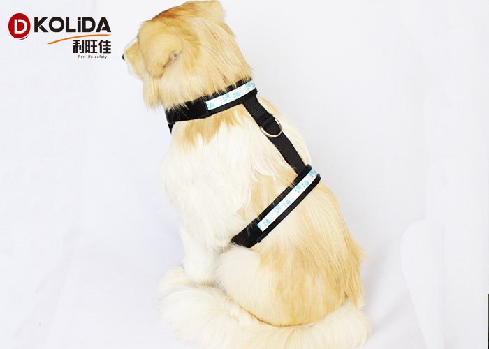 Nylon Safety Glow LED Dog Harness Glow In The Dark Dog Harness Leash