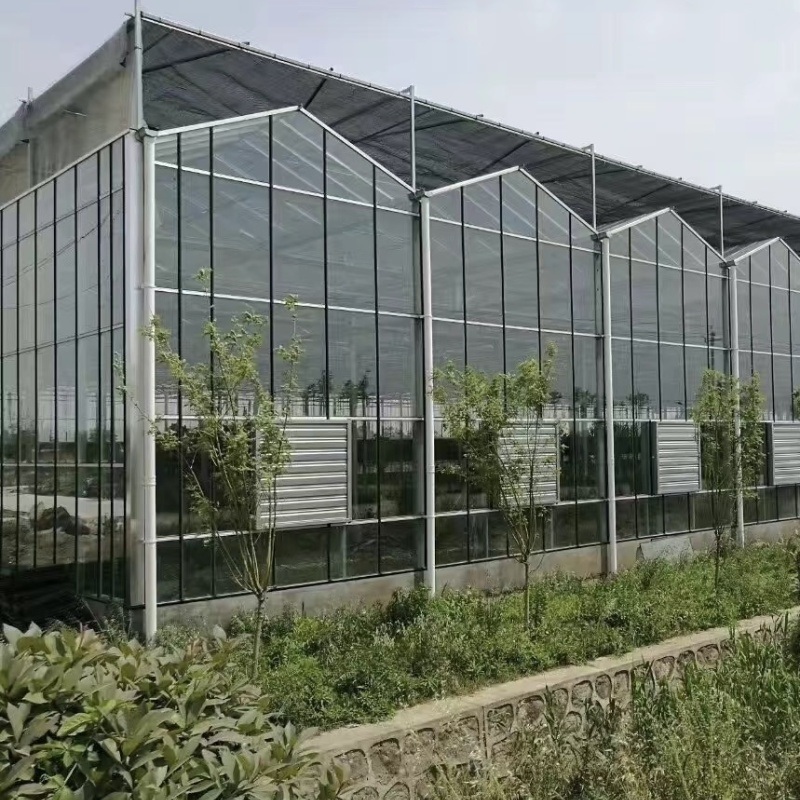 Greenhouse Hydroponics Growing System for Vegetables Flowers