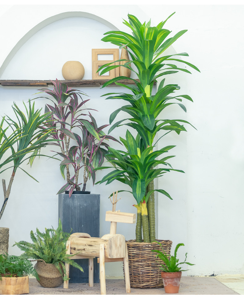 Stunning 170cm Real Touch Dracaena Bonsai Plant For Landscaping