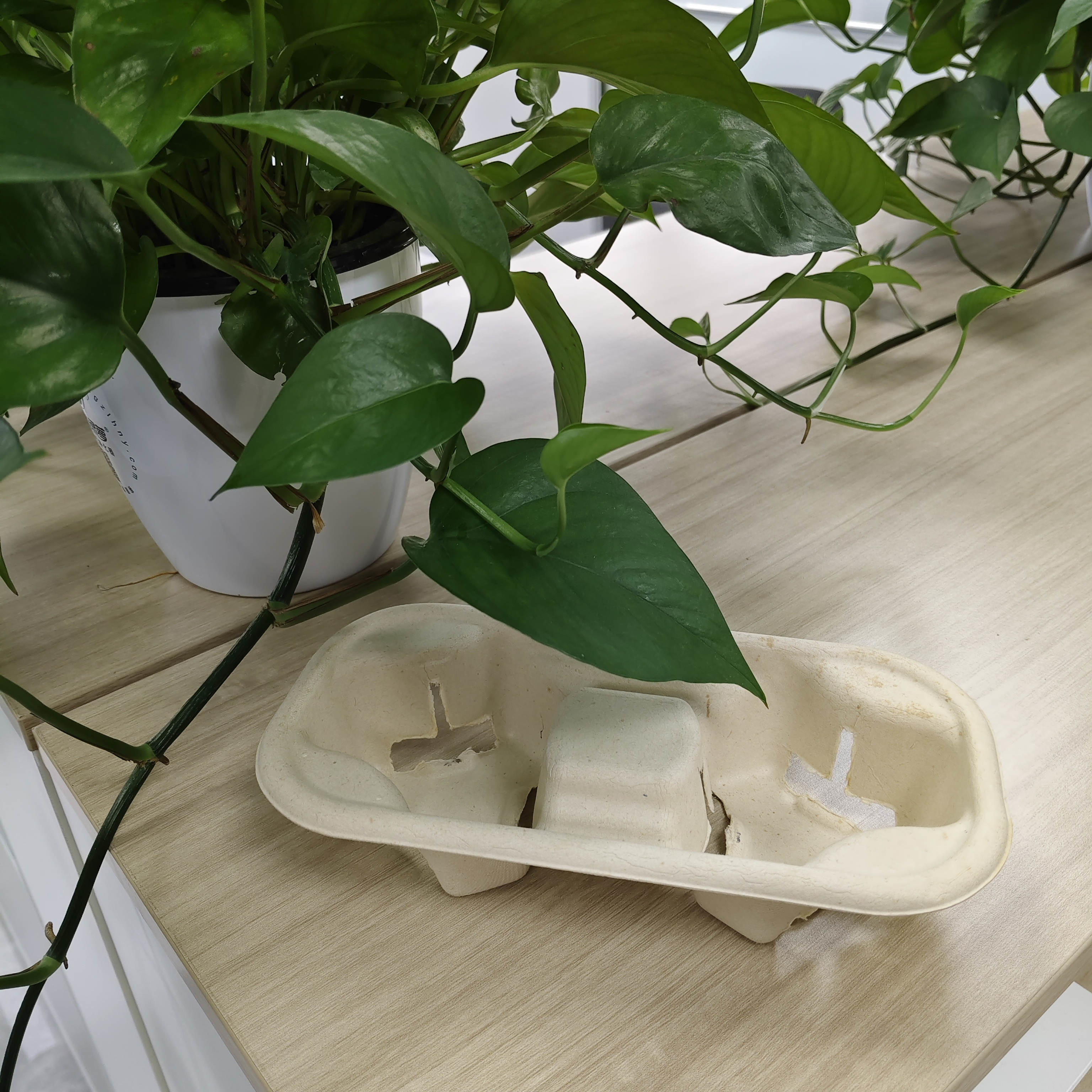 The environmentally friendly embedded paper trays for coffee of brands such as Starbucks and Luckin can keep the coffee fixed in the bag. They are