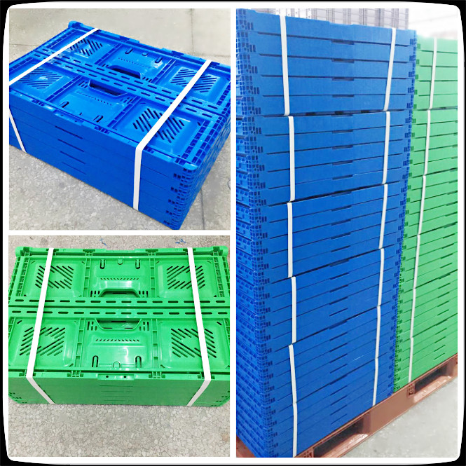 Foldable Mesh Crates For Vegetable Collapsible Plastic Shipping Crates 600x400x52mm