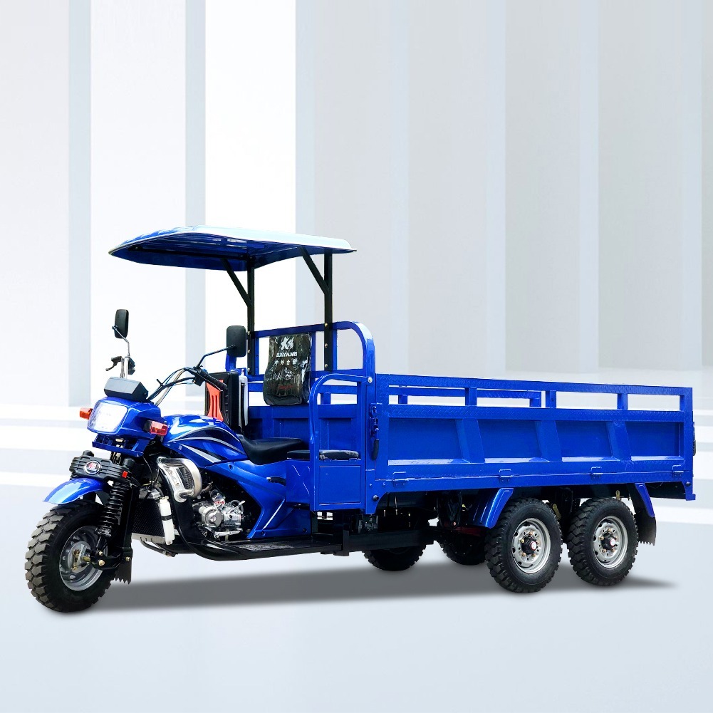300CC/350CC Motorized Cargo Trike Motorcycle for Heavy Loading Made in Three Wheel 12V