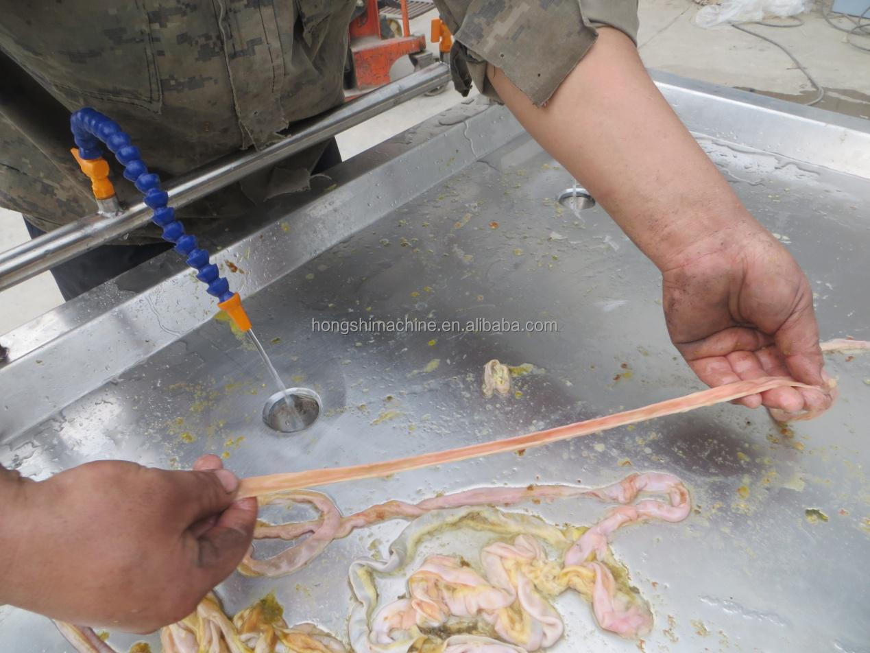 Hot Sale Intestinal Scraping Machine / Chicken Intestine Splitting Machine / Animal Intestine Casing Scratch Machine