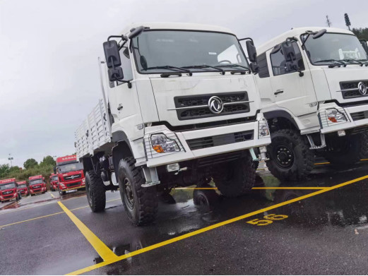 4x4 Cargo Truck Dongfeng Fence Lorry Truck Leaf Spring 10 Tons Loading Bad Road Driving Euro 5