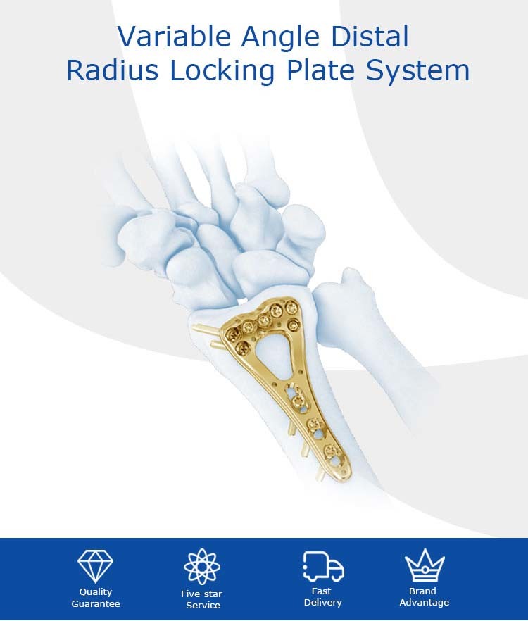 2.5/2.7mm Multi Axial Locking Plates Instrument Set Distal Radius Locking Plate