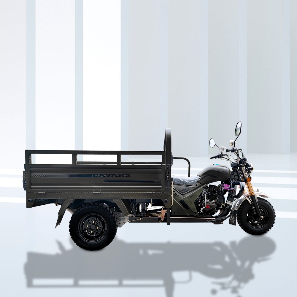 Three Wheel Motorcycle Scooter Trike Petrol Type Motorcycle 1000W Motor for 1 Passenger