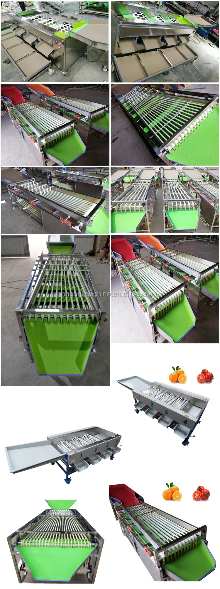 Potato Garlic Grader Sorter Fruit Vegetable Processing Machine For Sale