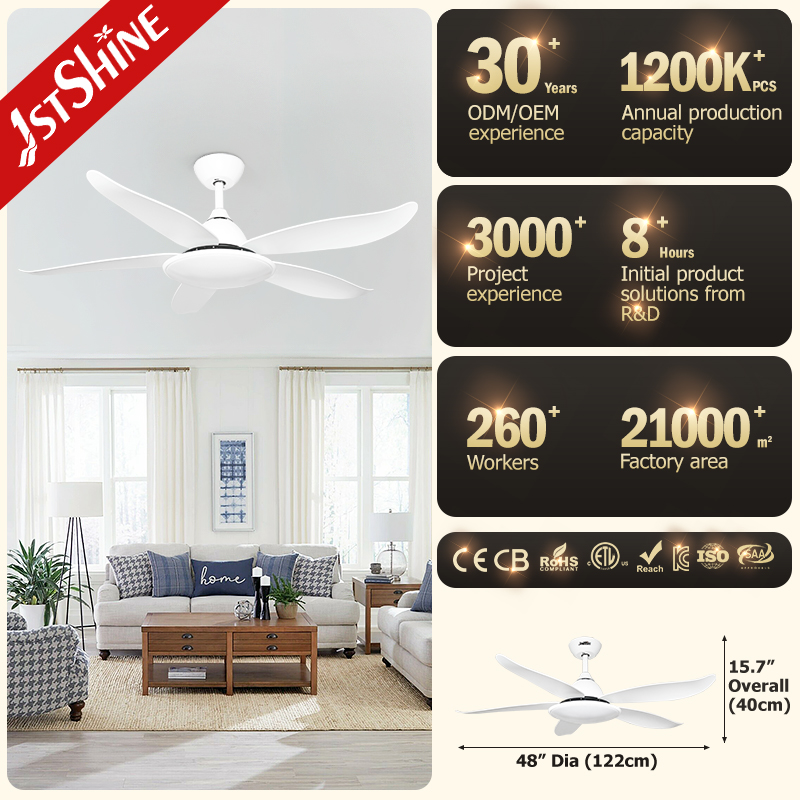 ceiling fan