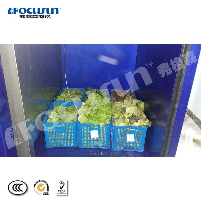 Bitzer Compressor Drives Focusun Vegetables Vacuum Cooler to Peak Performance