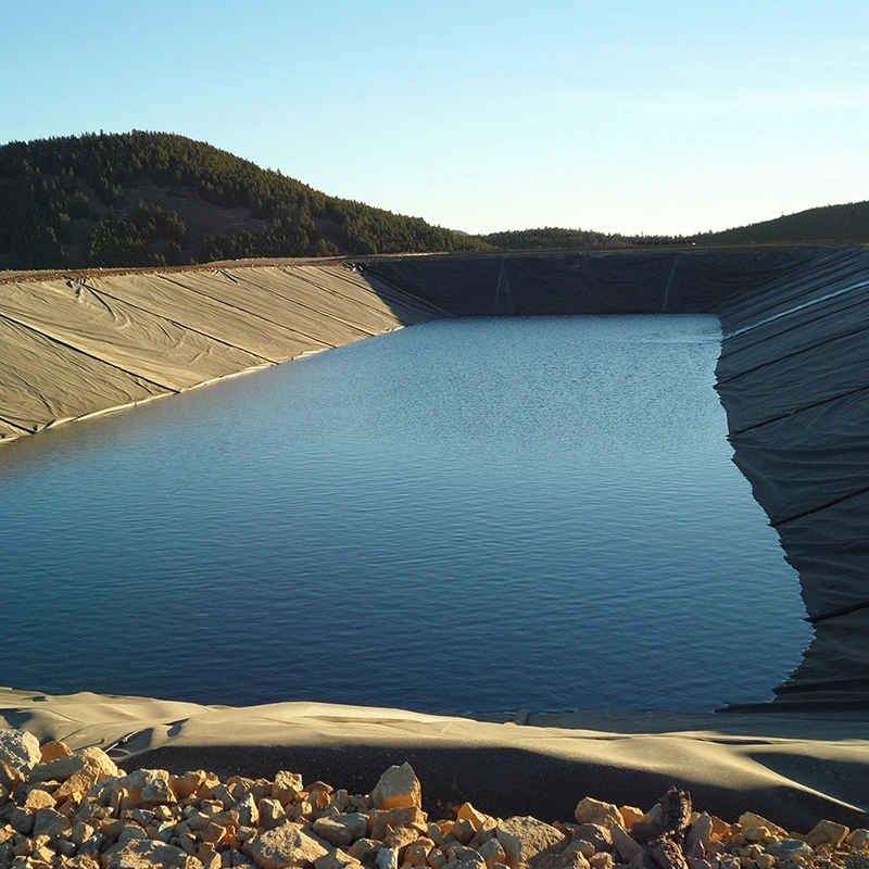 Anti-Seepage Waterproof Geomembrane Dam Pond Liner HDPE LLDPE LDPE 0.5-2mm Geomembrane Price